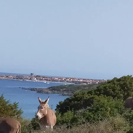 Apartmán La Vigna 3 Badesi